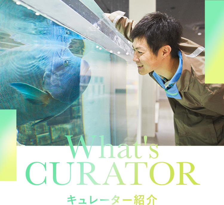 What's CURATOR キュレーター紹介