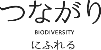 つながり BIODIVERSITY にふれる