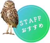 STAFFおすすめ