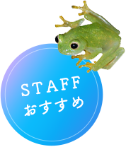 STAFFおすすめ