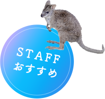 STAFFおすすめ