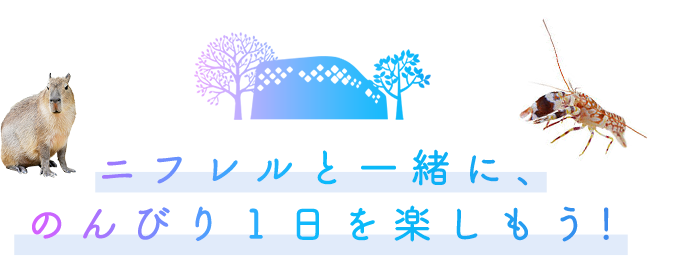 ニフレルと一緒に、のんびり1日を楽しもう!