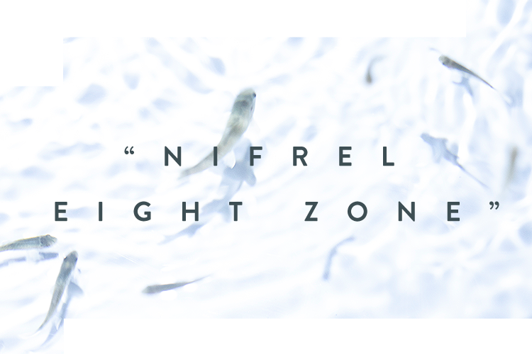 “NIFREL EIGHT ZONE”