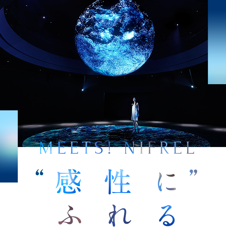 MEETS! NIFREL “感性にふれる”