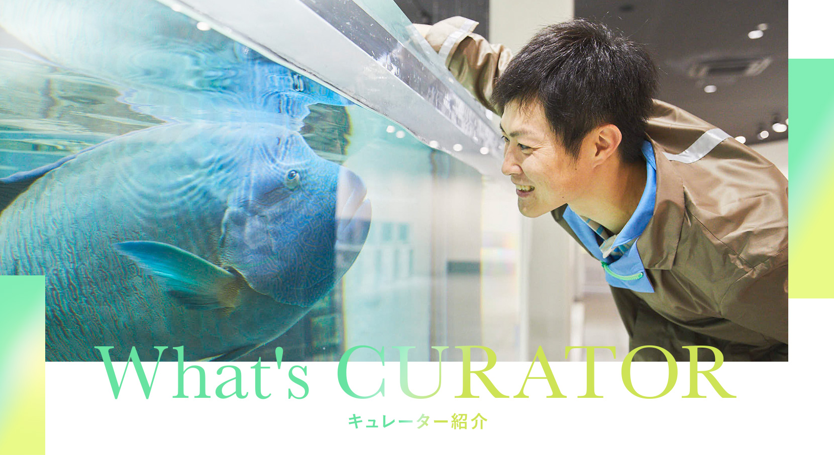 What's CURATOR キュレーター紹介