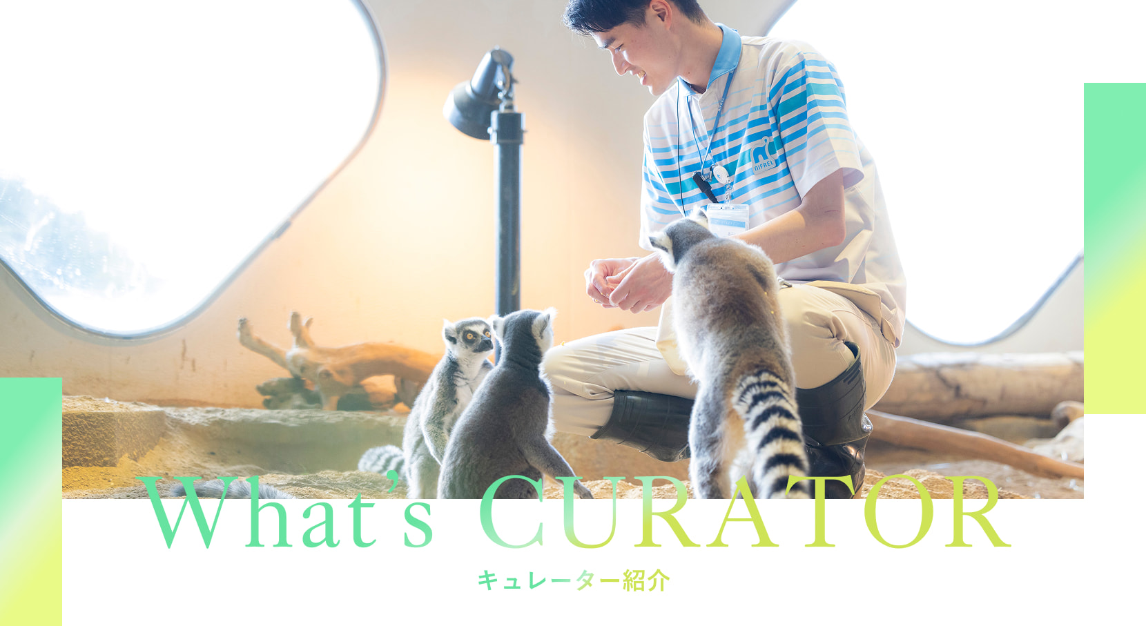 What's CURATOR キュレーター紹介