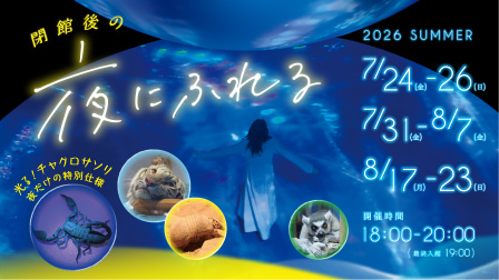 特別イベント『夜にふれる』