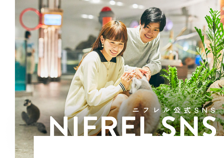 NIFREL SNS ニフレル公式SNS