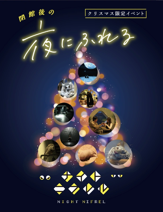 クリスマス限定イベント 閉館後の夜にふれる