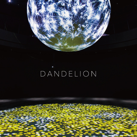 DANDELION