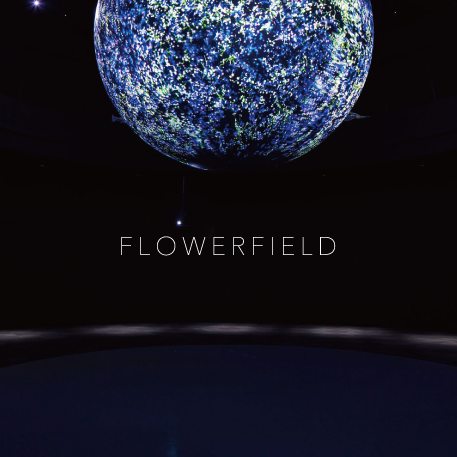 FLOWERFIELD