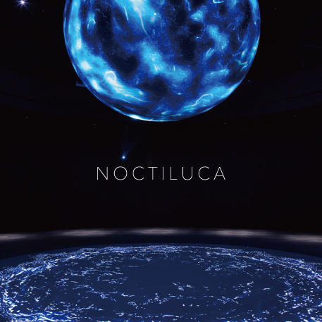 NOCTILUCA