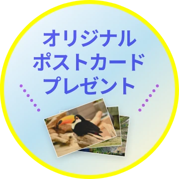 オリジナルポストカード プレゼント