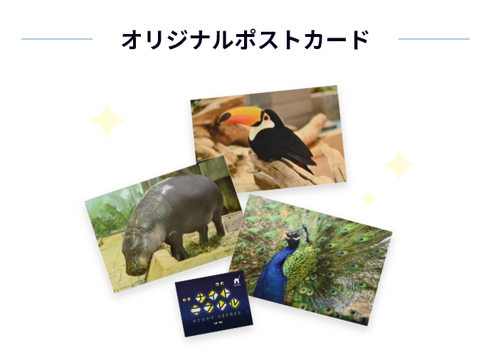 オリジナルポストカード
