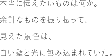 本当に伝えたいものは何か。余計なものを振り払って、見えた景色は、白い壁と光に包み込まれていた。