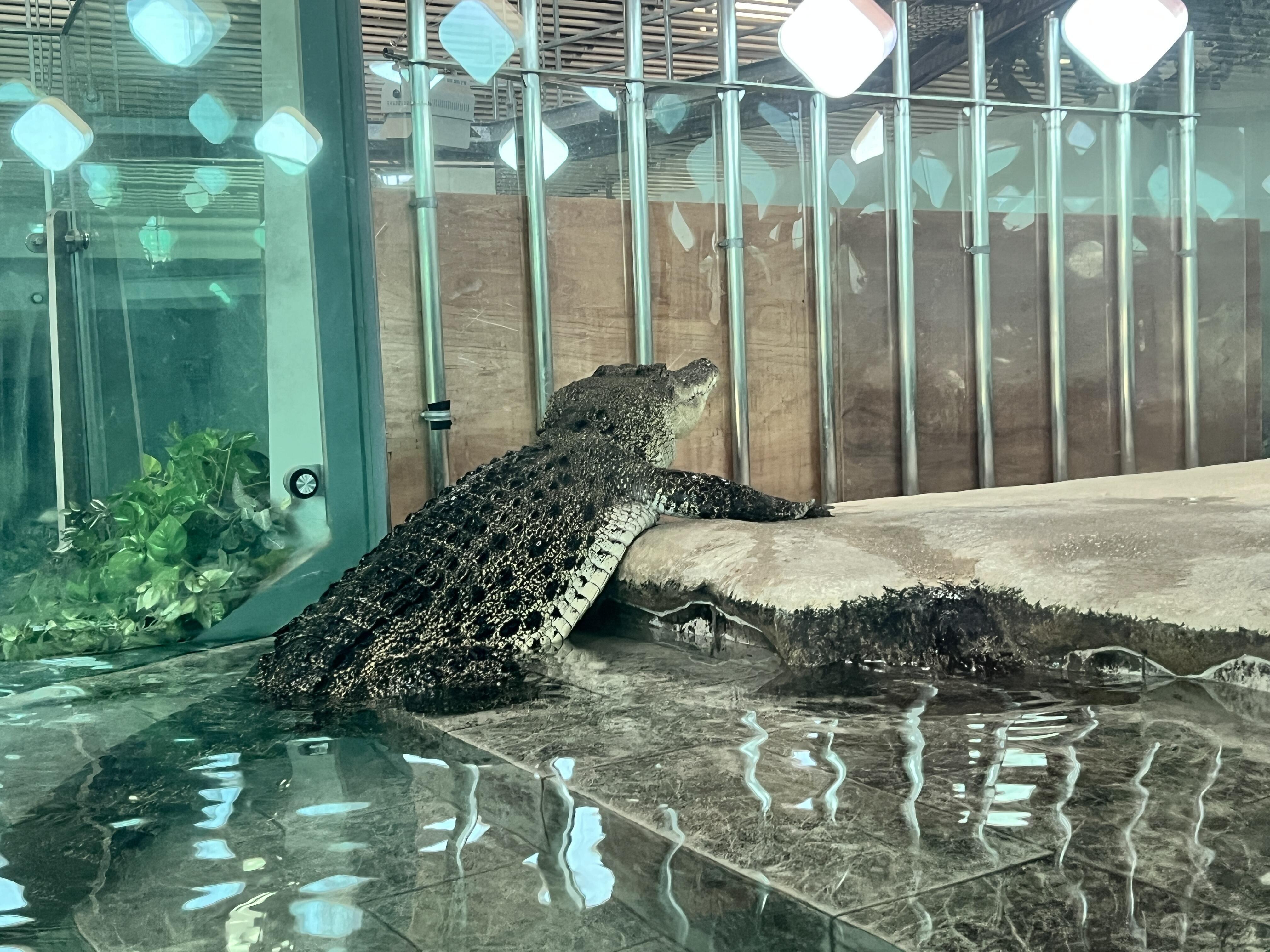 写真③.jpg