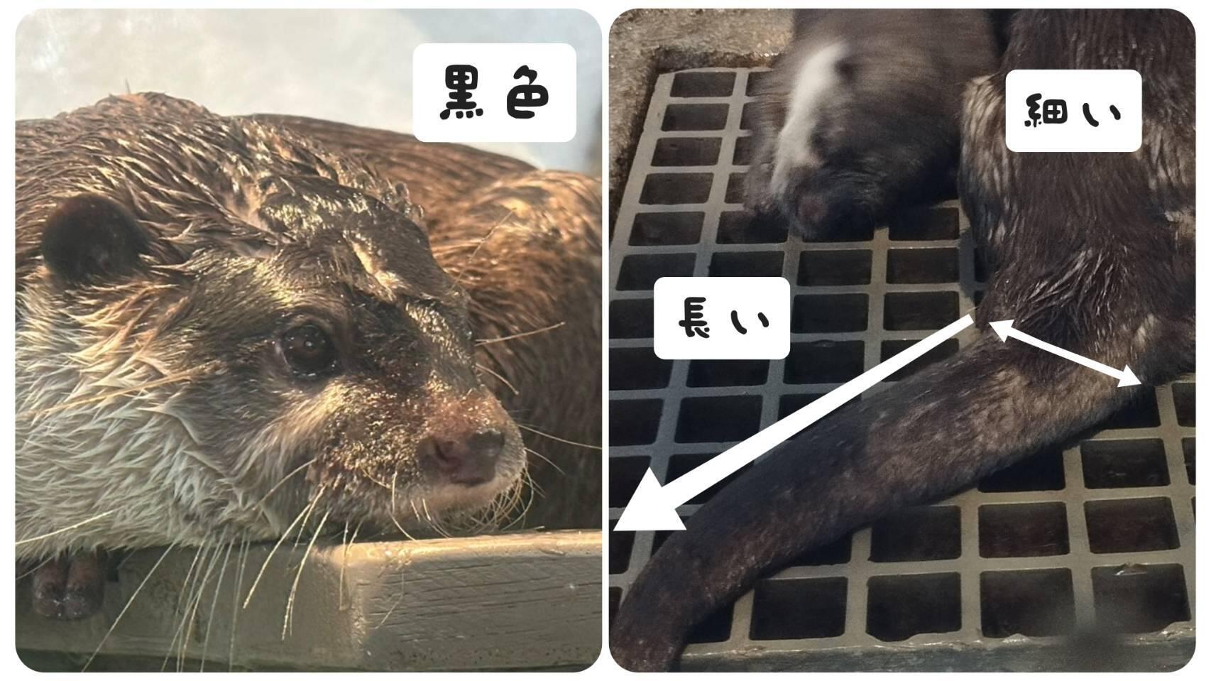 写真➄.jpg