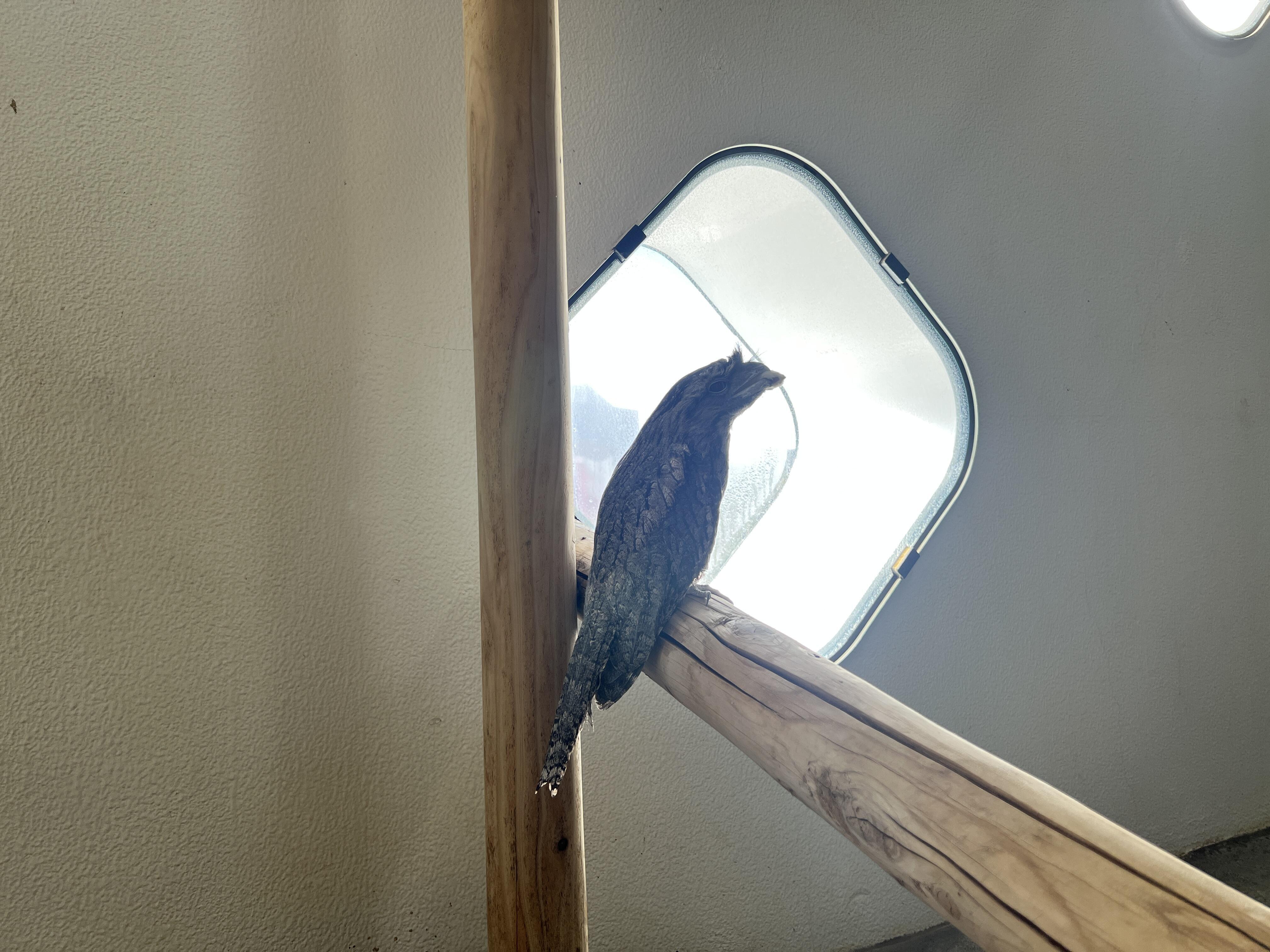 写真④.jpg