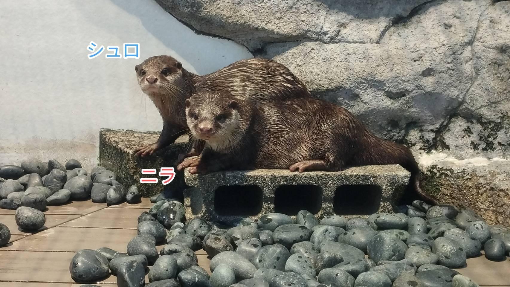 写真①.jpg