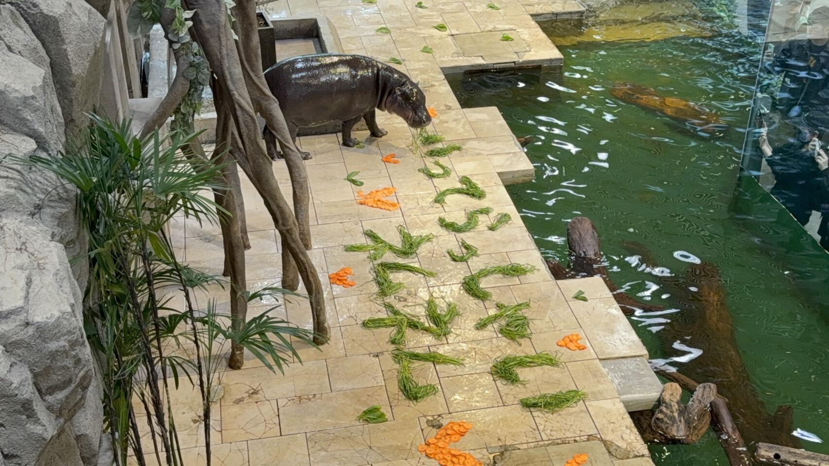 1775308198095.jpg