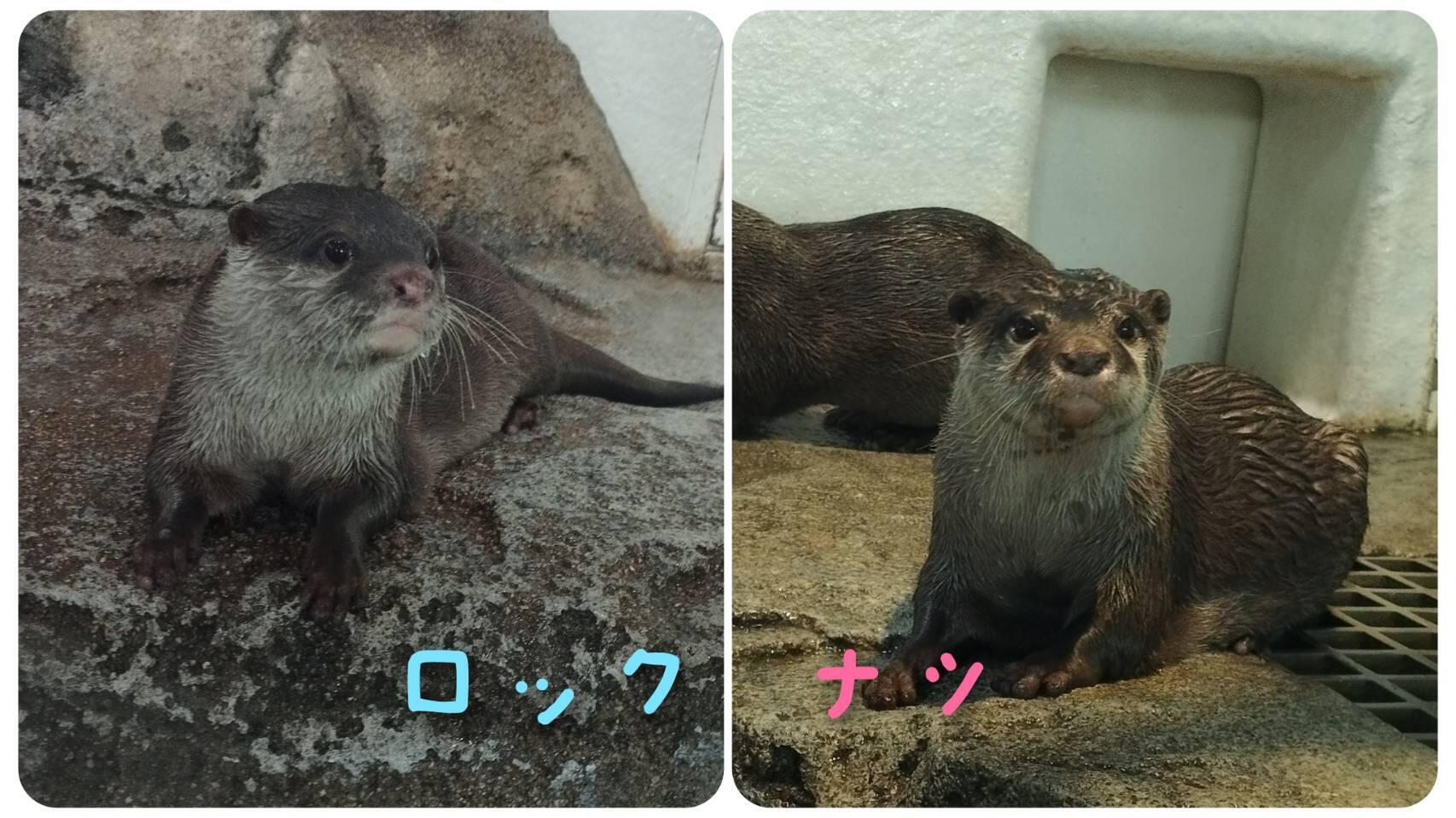 写真④.jpg