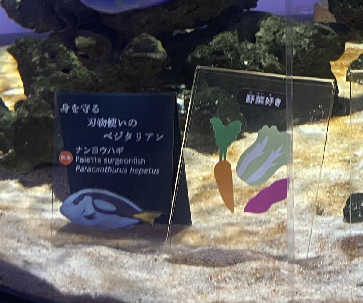 写真①.jpg