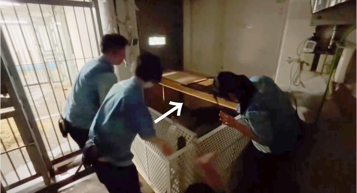 ①.jpg