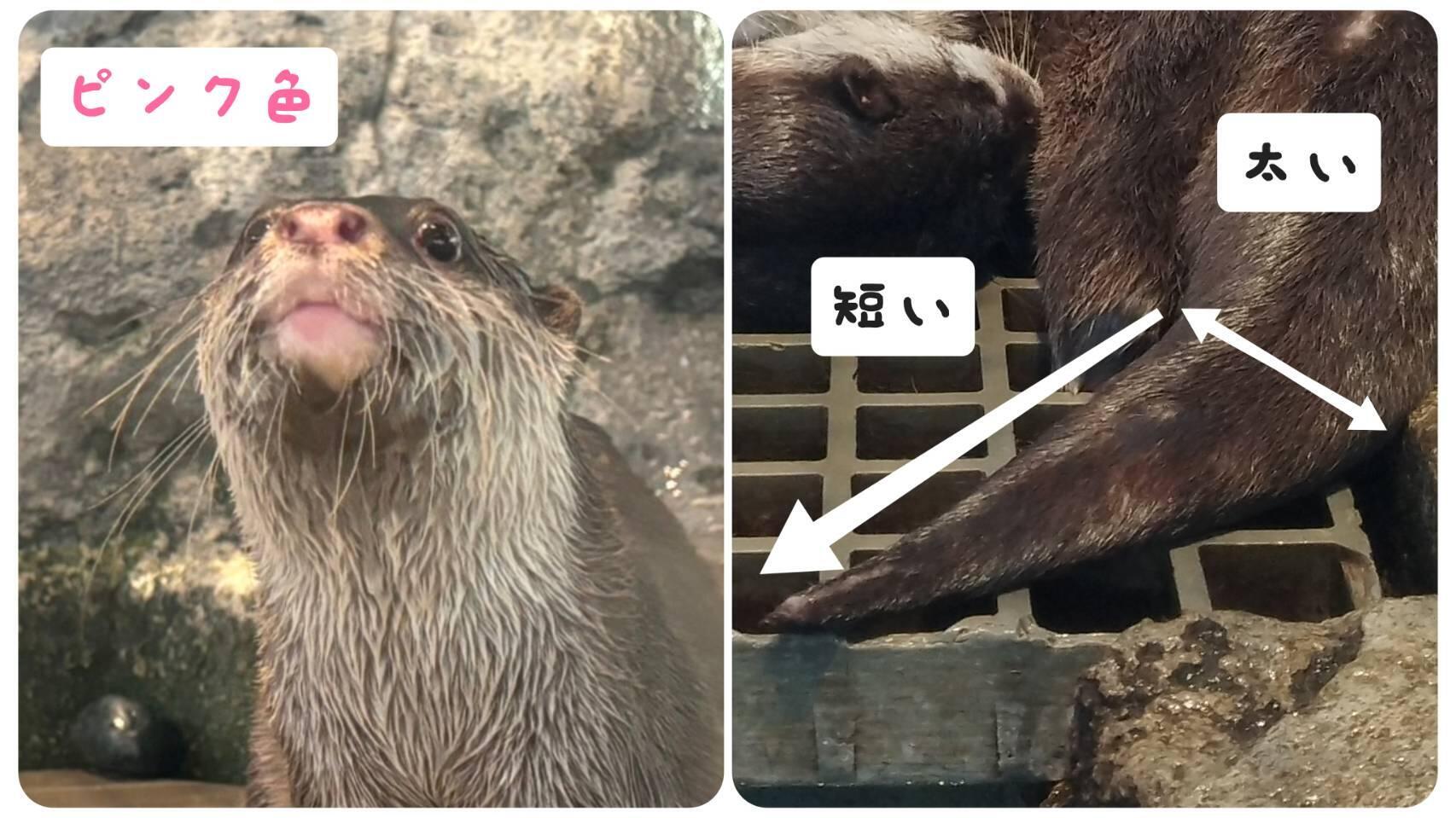 写真➂.jpg