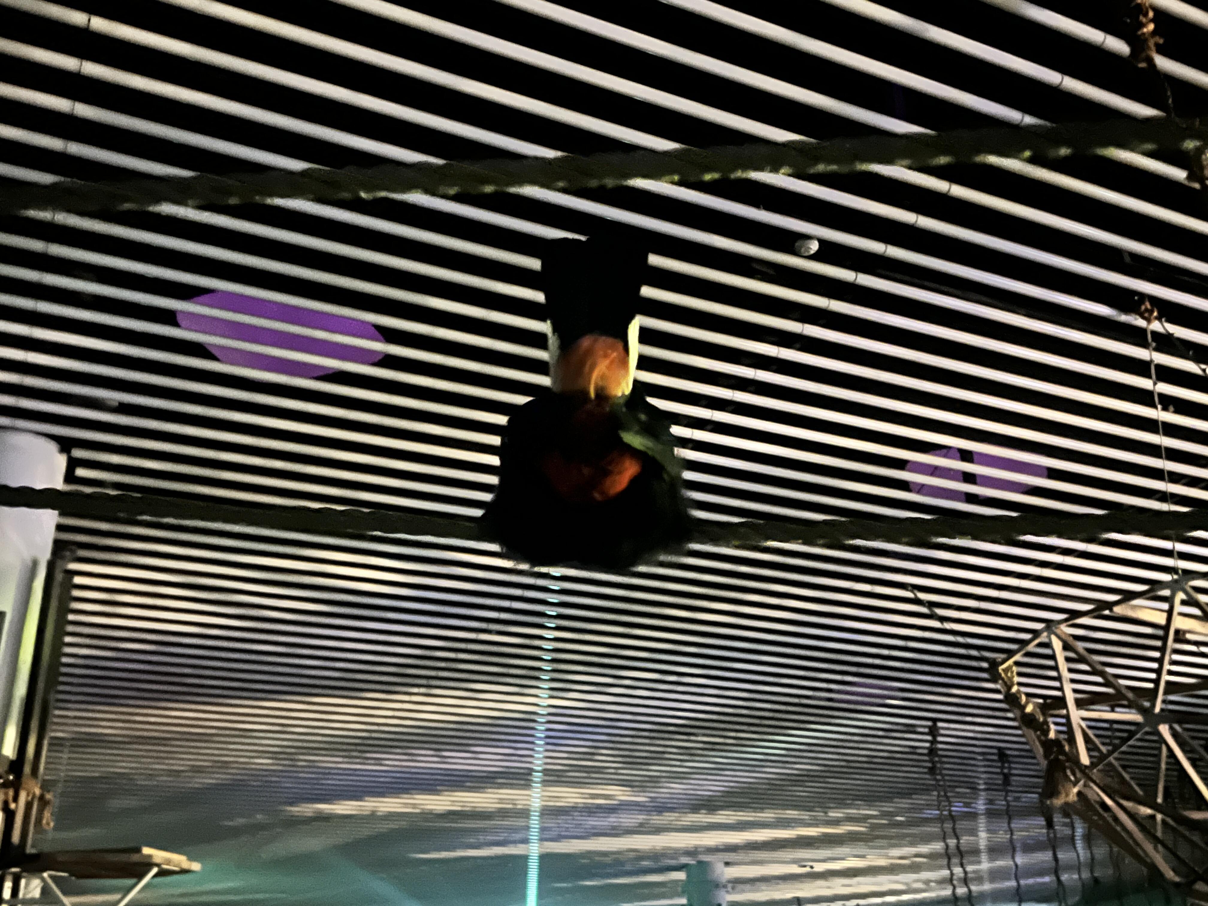 写真②.jpg