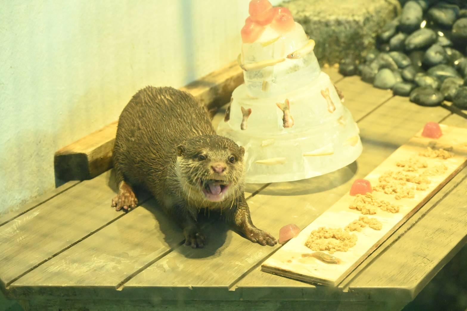 写真③.jpg