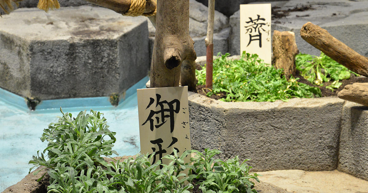blog210114_1200×630_7.jpg
