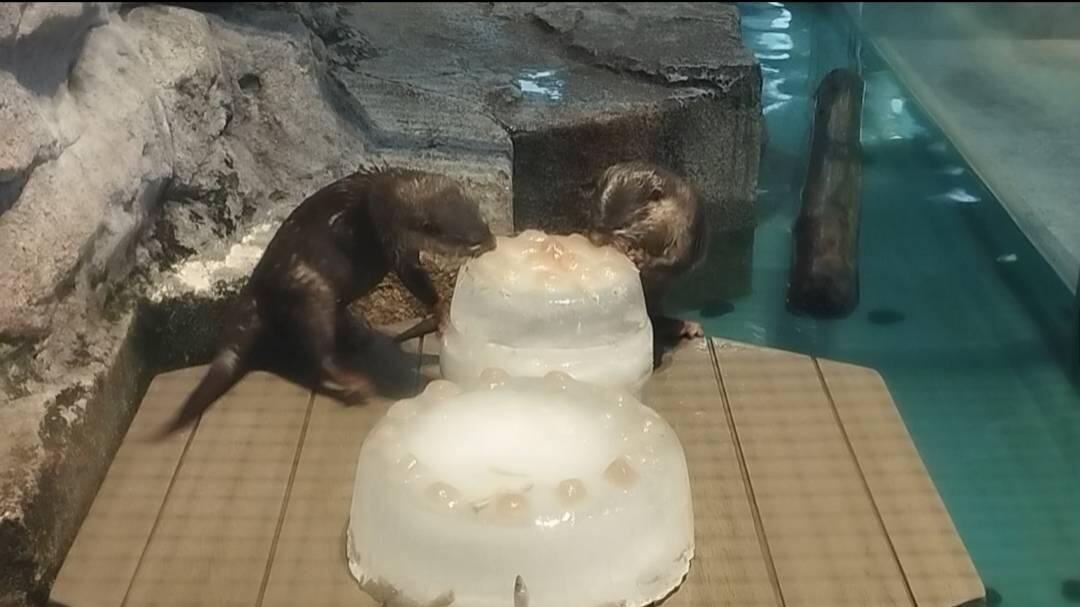 写真⑤.jpg