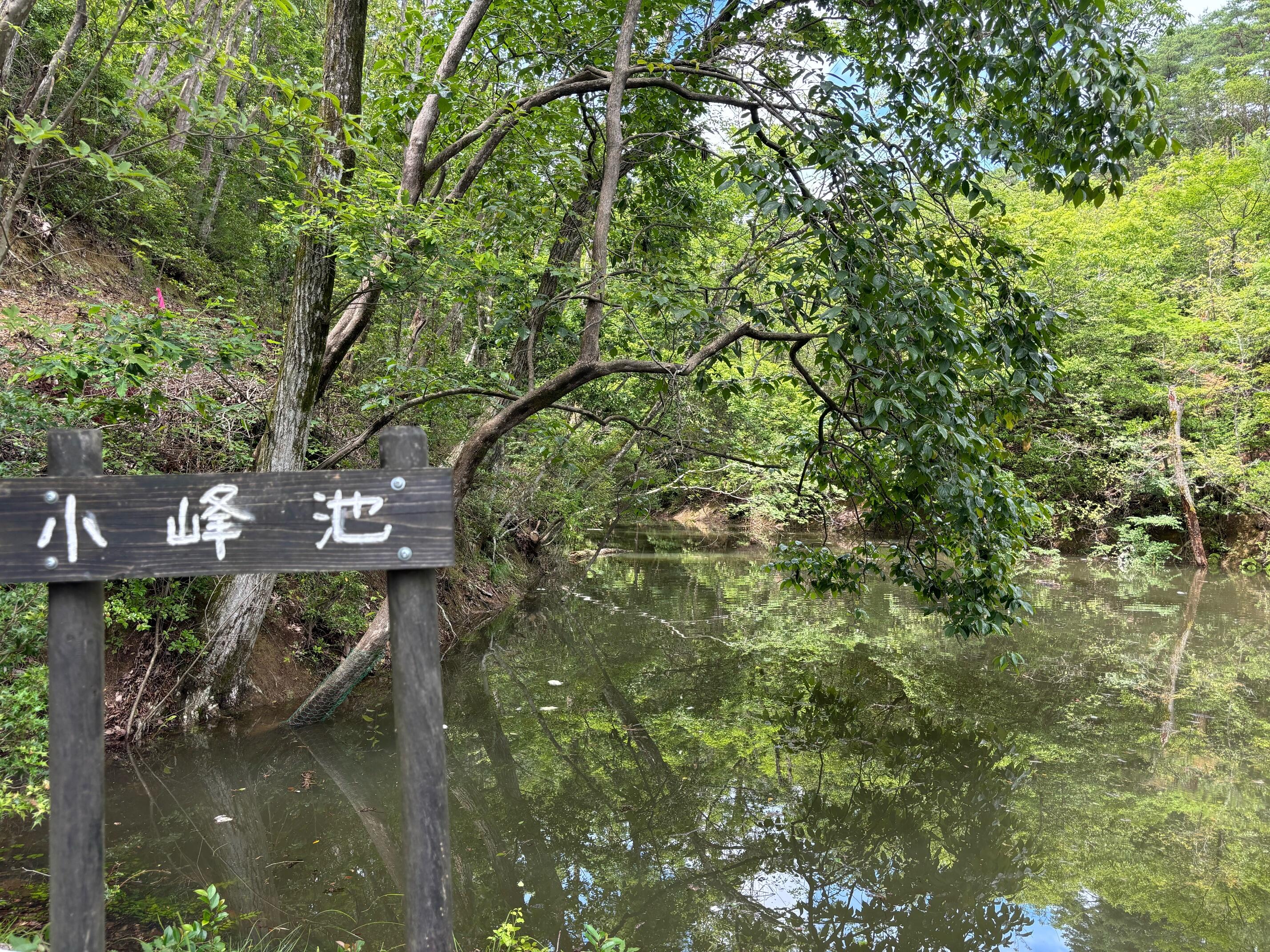 池.jpg
