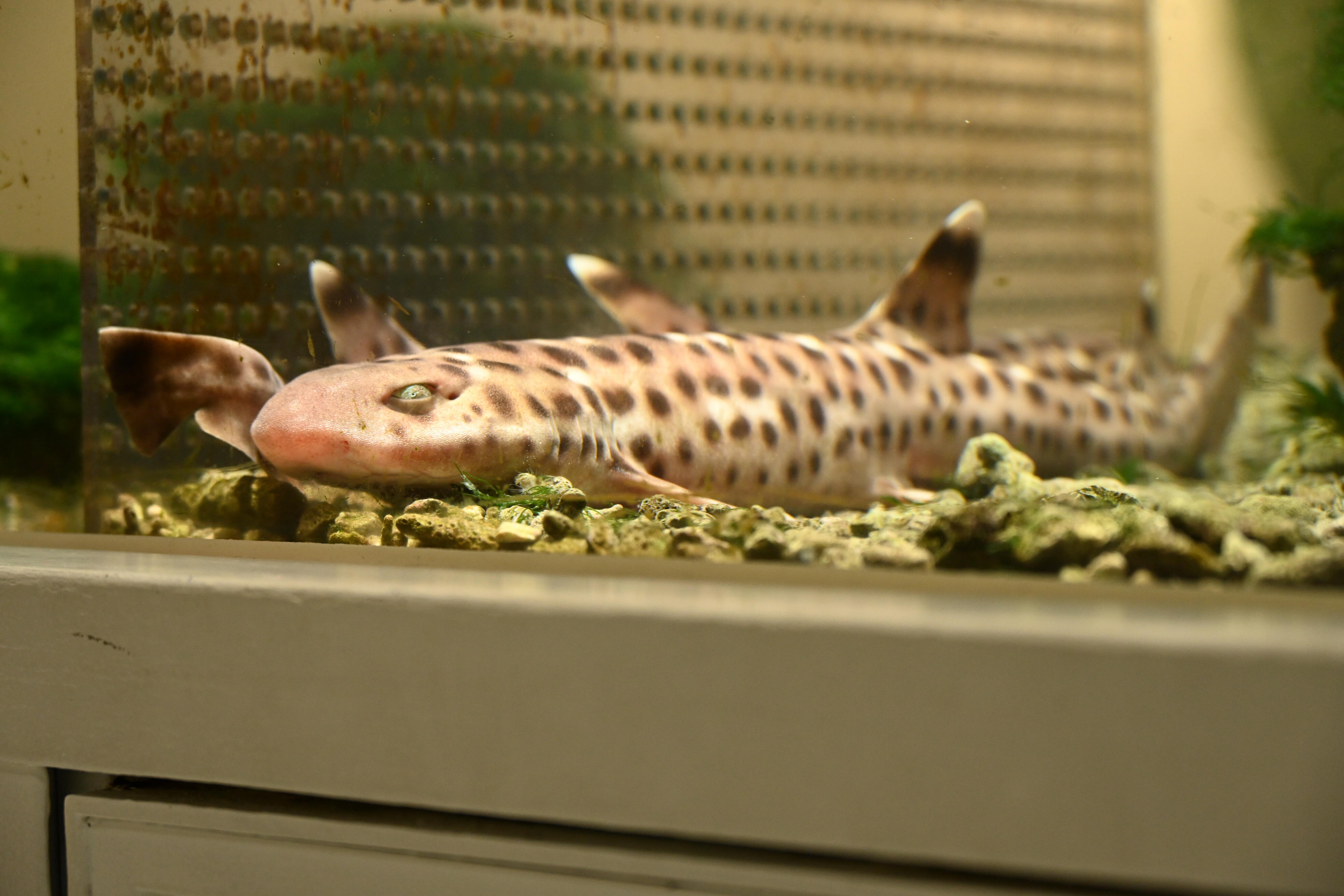 DSC_2981.JPG