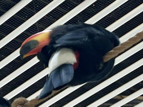 IMG_4159.JPEG