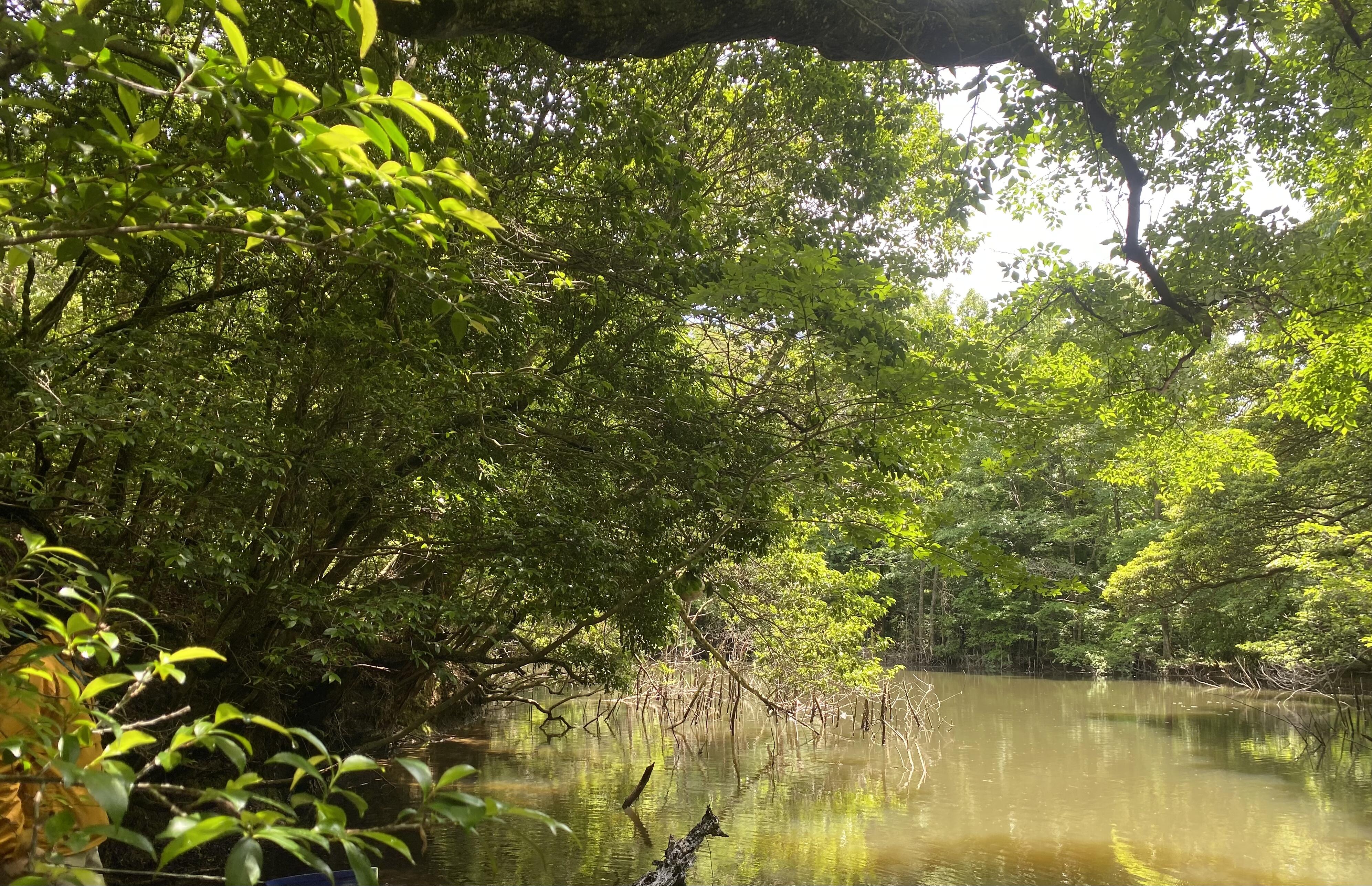 池の写真.JPG