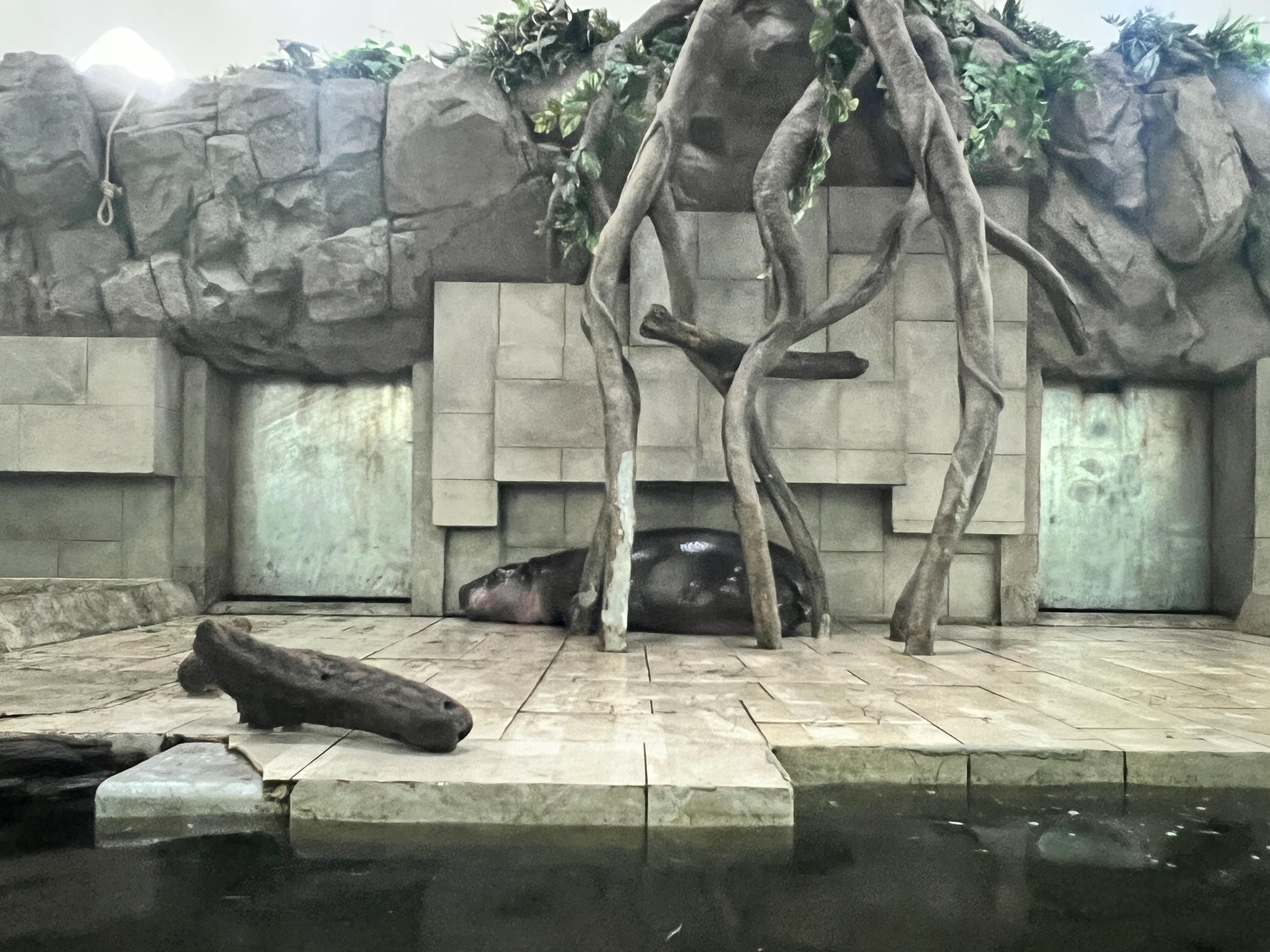 写真➁.jpg