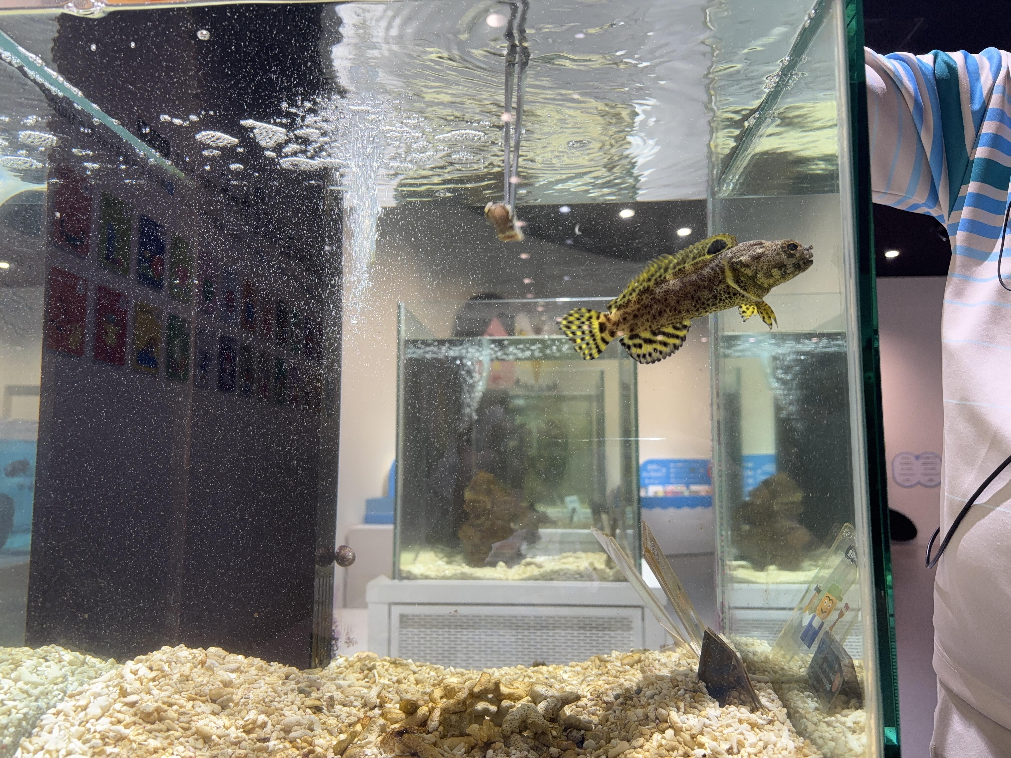image1_(2).jpg