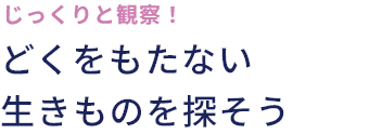 じっくりと観察！どくをもたない生きものを探そう