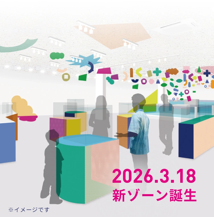 2026年3月18日 新ゾーン誕生 ※イメージです