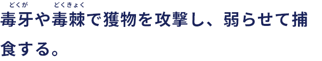 毒牙（どくが）や毒棘（どくきょく）で獲物を攻撃し、弱らせて捕食する。