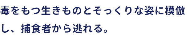 毒をもつ生きものとそっくりな姿に模倣し、捕食者から逃れる。