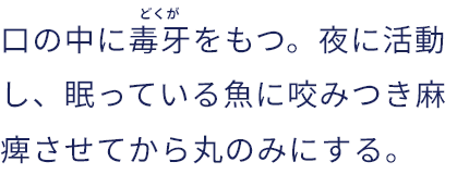 口の中に毒牙（どくが）をもつ。夜に活動し、眠っている魚に咬みつき麻痺させてから丸のみにする。