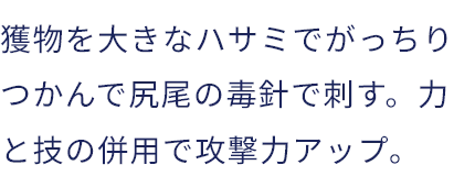 獲物を大きなハサミでがっちりつかんで尻尾の毒針で刺す。力と技の併用で攻撃力アップ。