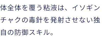 体全体を覆う粘液は、イソギンチャクの毒針を発射させない独自の防御スキル。