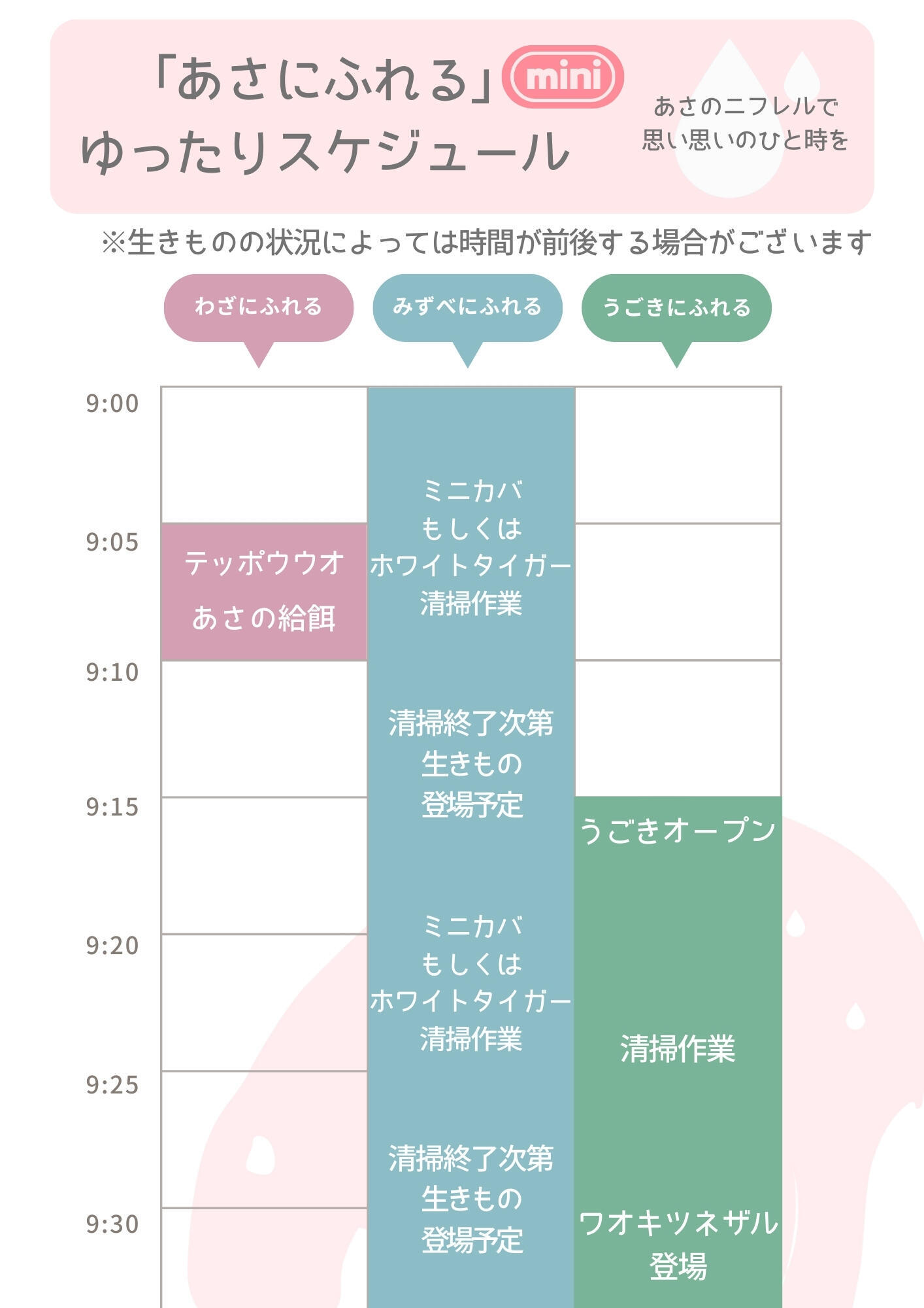 あさにふれるminiタイムスケジュール.jpg