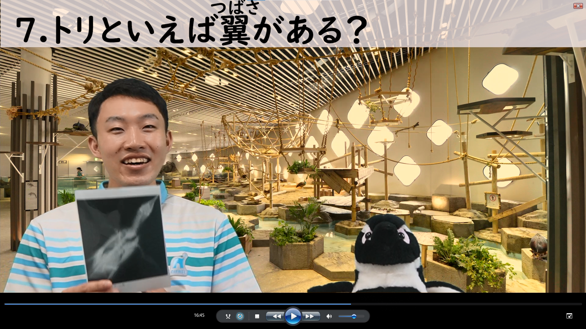 事前学習動画切り抜き.png
