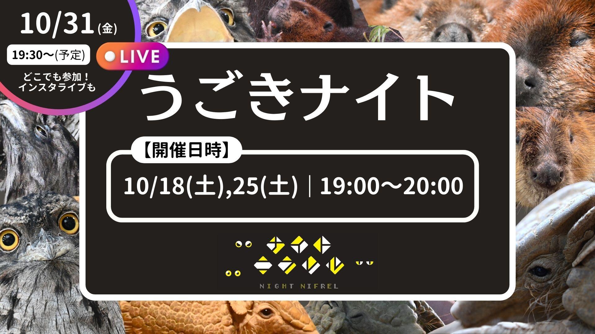 HPサムネ.jpg
