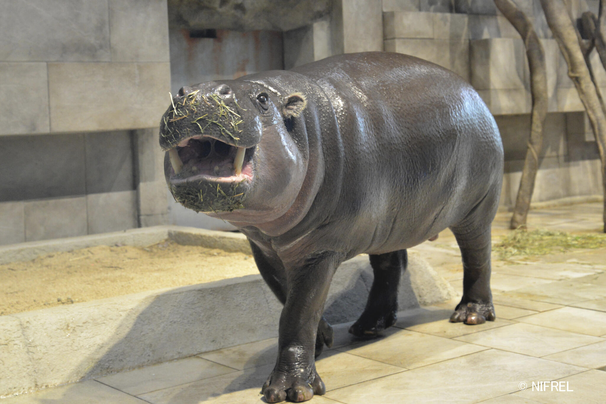 モトモト (2).jpg