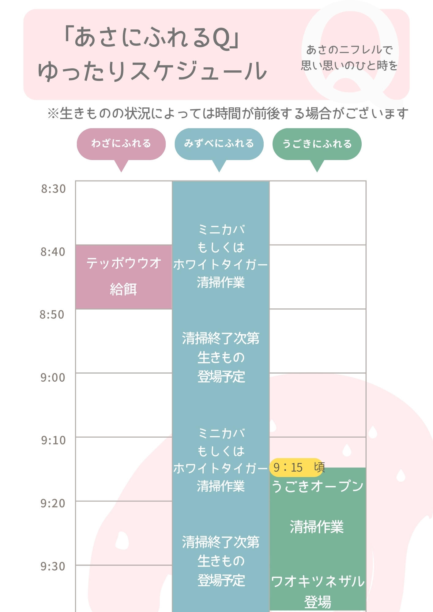 タイムスケジュール.jpg